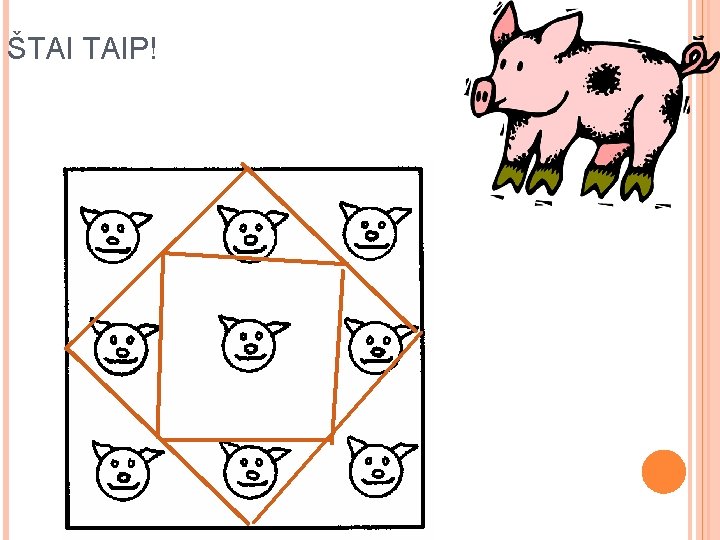 ŠTAI TAIP! ŠTAI TAIP!