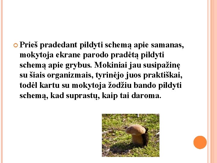 Prieš pradedant pildyti schemą apie samanas, mokytoja ekrane parodo pradėtą pildyti schemą apie Prieš pradedant pildyti schemą apie samanas, mokytoja ekrane parodo pradėtą pildyti schemą apie