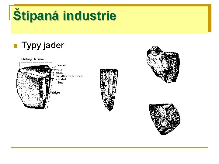 Štípaná industrie n Typy jader 