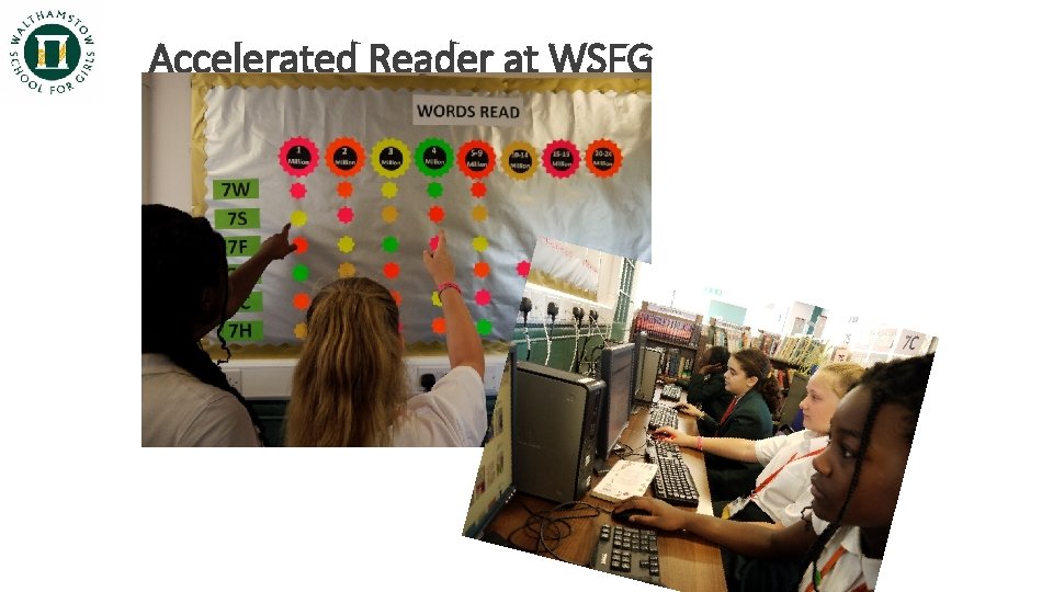 Accelerated Reader at WSFG 