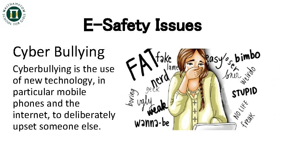 E-Safety Issues Cyber Bullying Cyberbullying is the use of new technology, in particular mobile