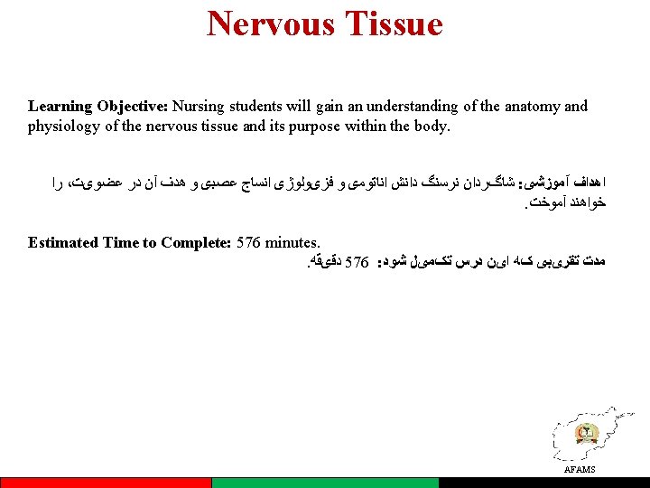Nervous Tissue Learning Objective: Nursing students will gain an understanding of the anatomy and