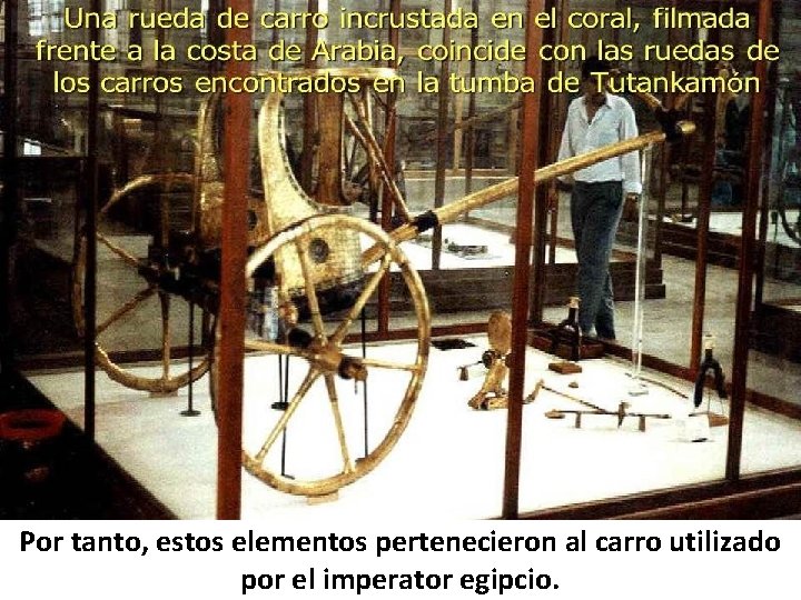 Por tanto, estos elementos pertenecieron al carro utilizado por el imperator egipcio. 