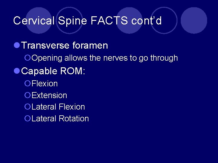 Cervical Spine FACTS cont’d l Transverse foramen ¡Opening allows the nerves to go through