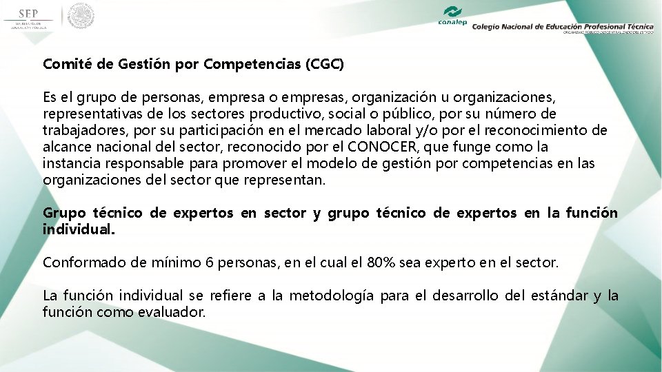 Comité de Gestión por Competencias (CGC) Es el grupo de personas, empresa o empresas,