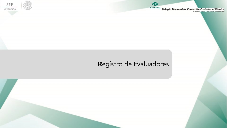  Registro de Evaluadores 