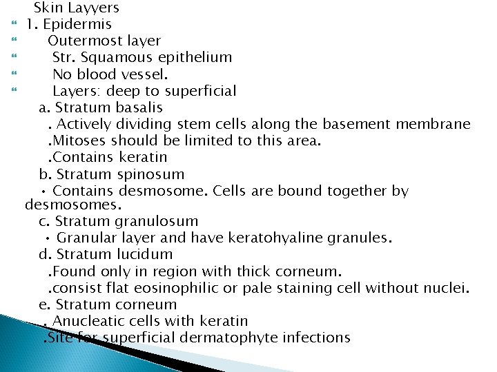  Skin Layyers 1. Epidermis Outermost layer Str. Squamous epithelium No blood vessel. Layers: