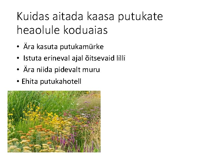 Kuidas aitada kaasa putukate heaolule koduaias • Ära kasuta putukamürke • Istuta erineval ajal