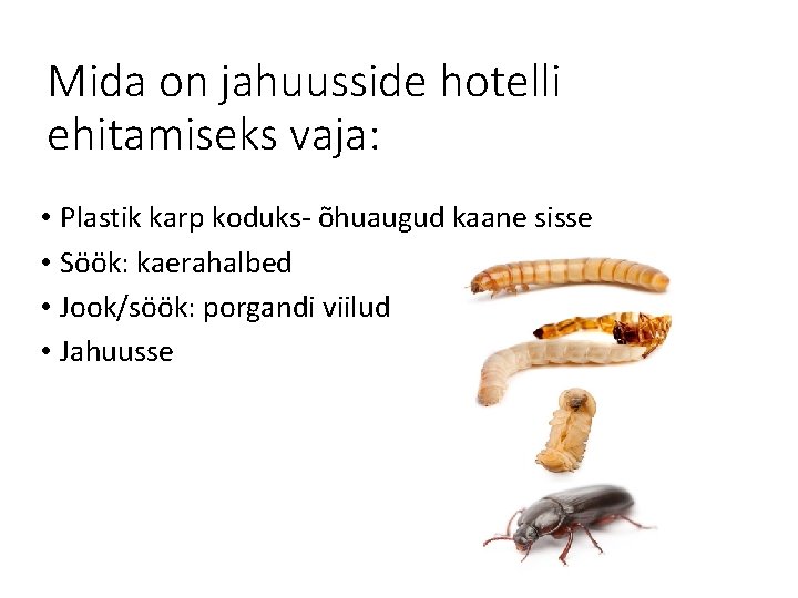 Mida on jahuusside hotelli ehitamiseks vaja: • Plastik karp koduks- õhuaugud kaane sisse •