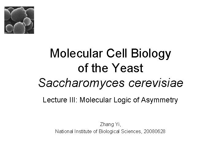 Molecular Cell Biology of the Yeast Saccharomyces cerevisiae Lecture III: Molecular Logic of Asymmetry