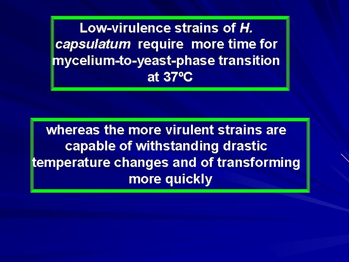 Low-virulence strains of H. capsulatum require more time for mycelium-to-yeast-phase transition at 37ºC whereas
