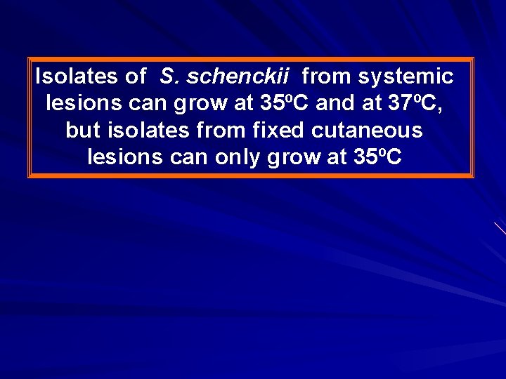 Isolates of S. schenckii from systemic lesions can grow at 35ºC and at 37ºC,