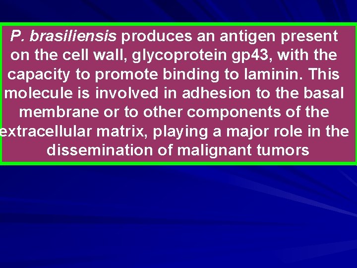 P. brasiliensis produces an antigen present on the cell wall, glycoprotein gp 43, with