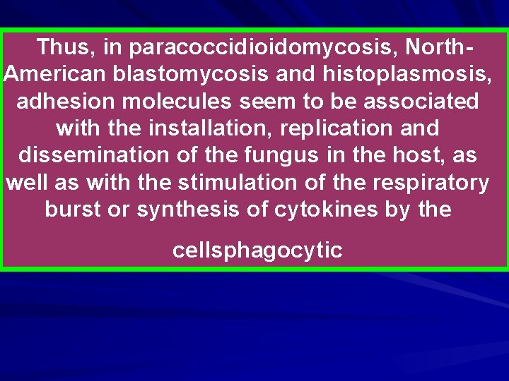 Thus, in paracoccidioidomycosis, North. American blastomycosis and histoplasmosis, adhesion molecules seem to be associated