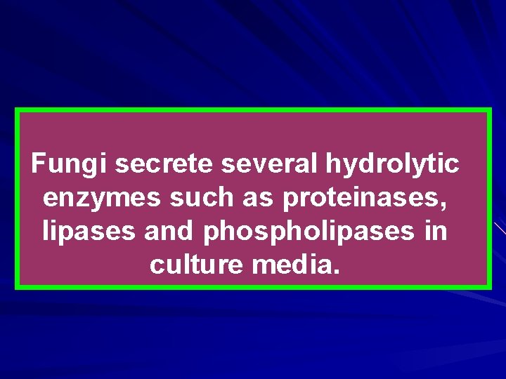 Fungi secrete several hydrolytic enzymes such as proteinases, lipases and phospholipases in culture media.