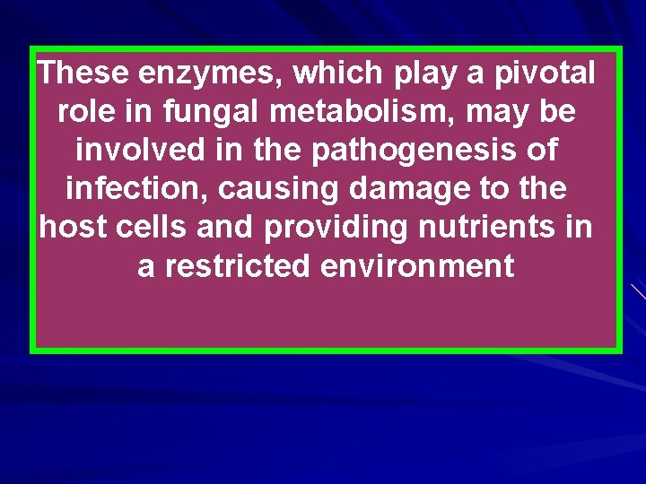 These enzymes, which play a pivotal role in fungal metabolism, may be involved in