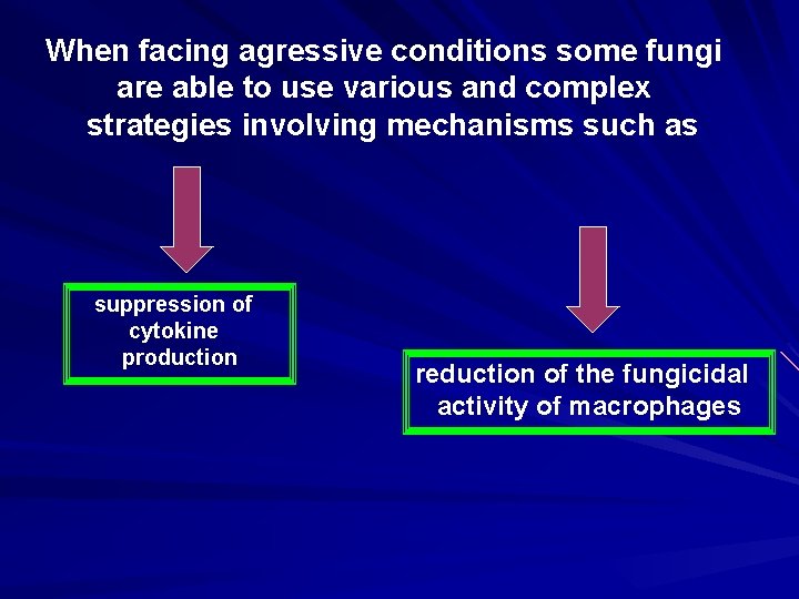When facing agressive conditions some fungi are able to use various and complex strategies