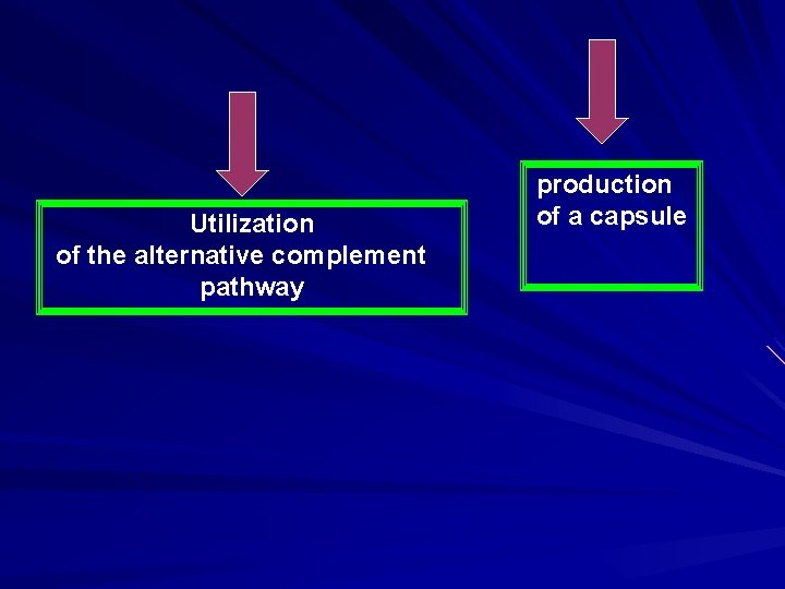 Utilization of the alternative complement pathway production of a capsule 