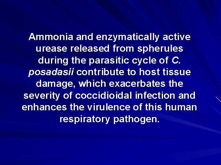 Ammonia and enzymatically active urease released from spherules during the parasitic cycle of C.