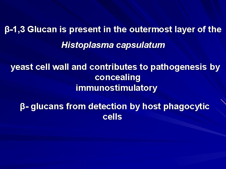 β-1, 3 Glucan is present in the outermost layer of the Histoplasma capsulatum yeast