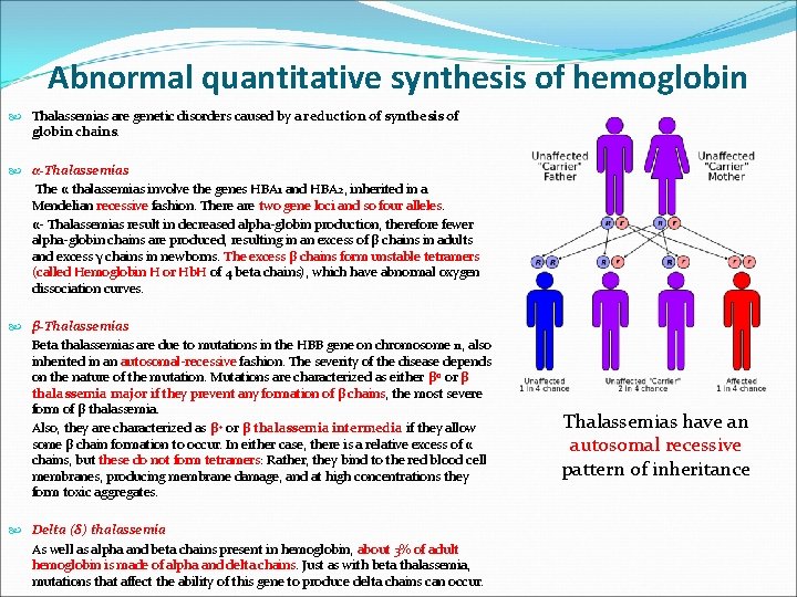 Abnormal quantitative synthesis of hemoglobin Thalassemias are genetic disorders caused by a reduction of