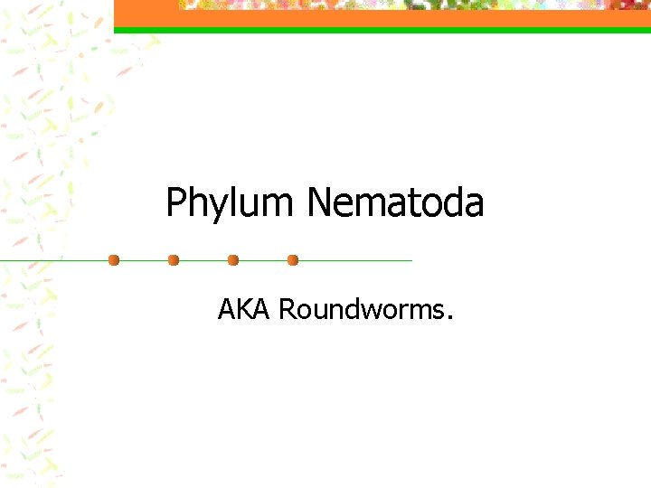 Phylum Nematoda AKA Roundworms. 