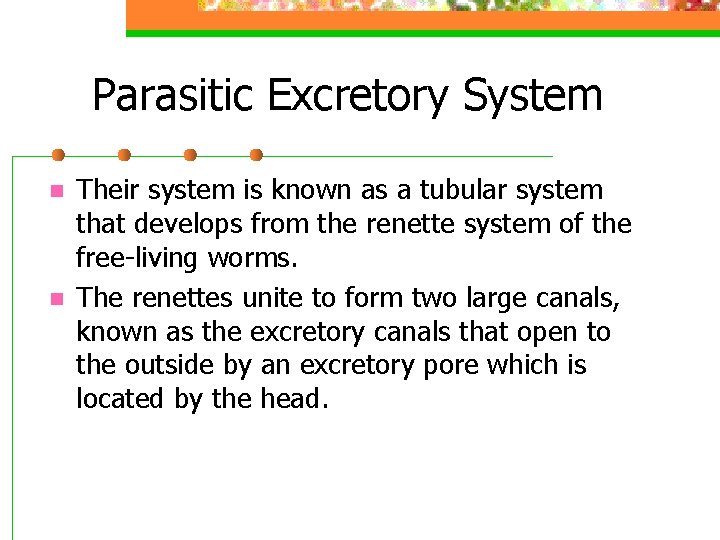 Parasitic Excretory System n n Their system is known as a tubular system that