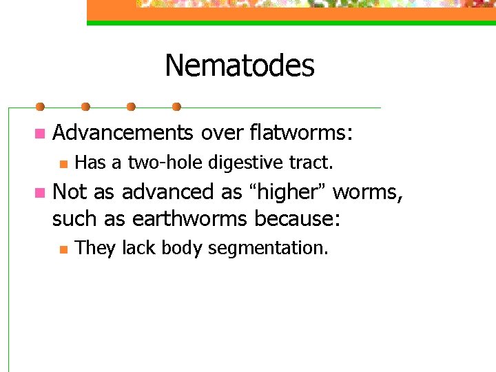 Nematodes n Advancements over flatworms: n n Has a two-hole digestive tract. Not as