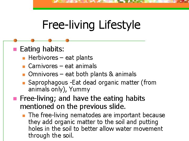 Free-living Lifestyle n Eating habits: n n n Herbivores – eat plants Carnivores –