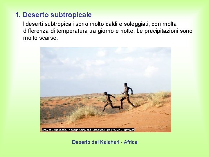 1. Deserto subtropicale I deserti subtropicali sono molto caldi e soleggiati, con molta differenza