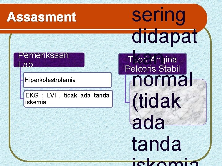 Assasment Pemeriksaan Lab Hiperkolestrolemia EKG : LVH, tidak ada tanda iskemia sering didapat Teori