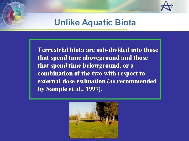 Unlike Aquatic Biota Terrestrial biota are sub-divided into those that spend time aboveground and