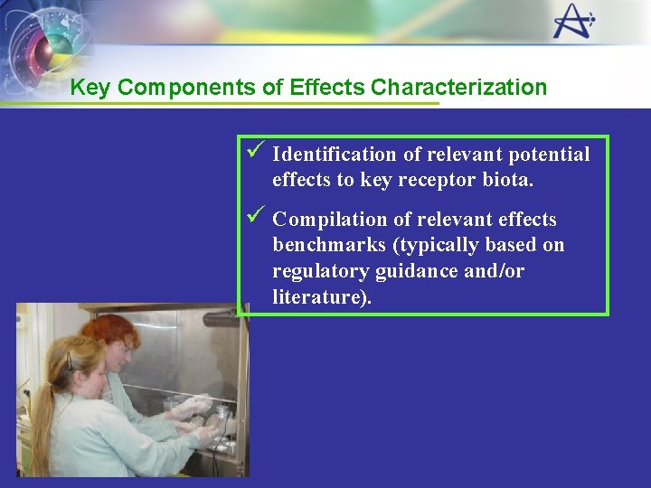 Key Components of Effects Characterization ü Identification of relevant potential effects to key receptor