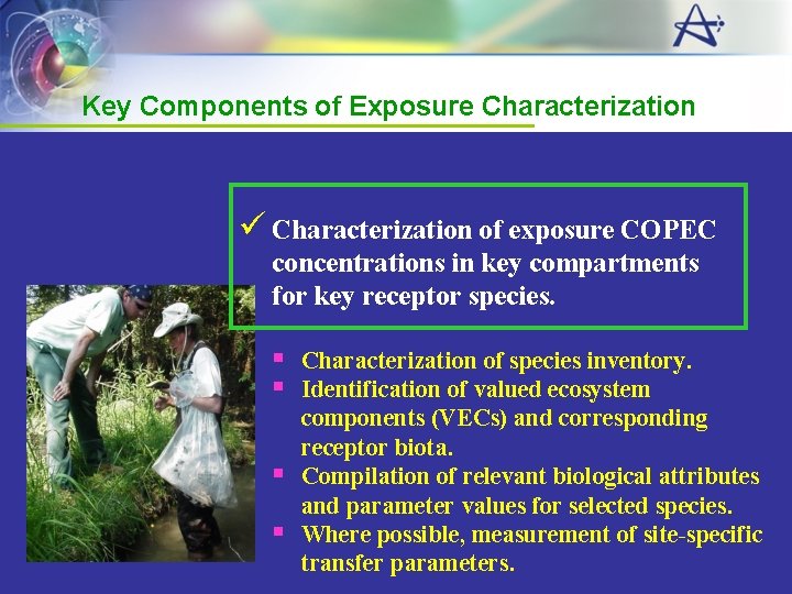 Key Components of Exposure Characterization ü Characterization of exposure COPEC concentrations in key compartments