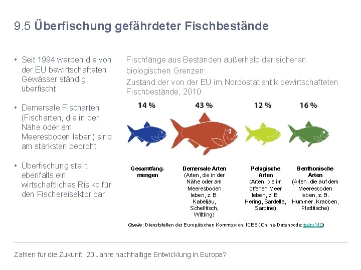 9. 5 Überfischung gefährdeter Fischbestände • Seit 1994 werden die von der EU bewirtschafteten