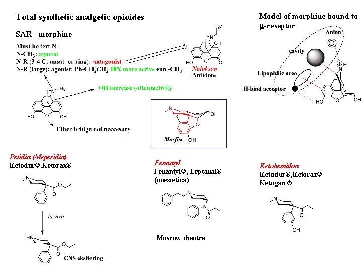 Model of morphine bound to m-reseptor Total synthetic analgetic opioides SAR - morphine Petidin