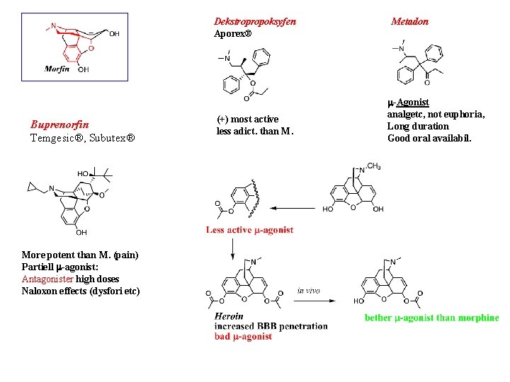 Dekstropropoksyfen Aporex® Buprenorfin Temgesic®, Subutex® More potent than M. (pain) Partiell m-agonist: Antagonister high