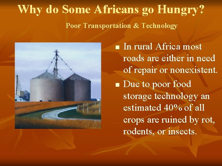 Why do Some Africans go Hungry? Poor Transportation & Technology n n In rural