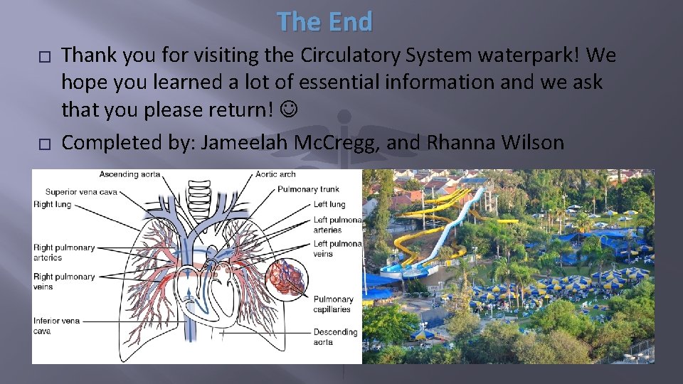 The End � � Thank you for visiting the Circulatory System waterpark! We hope