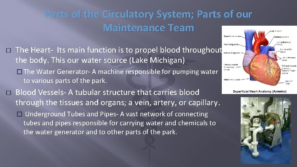 Parts of the Circulatory System; Parts of our Maintenance Team � The Heart- Its