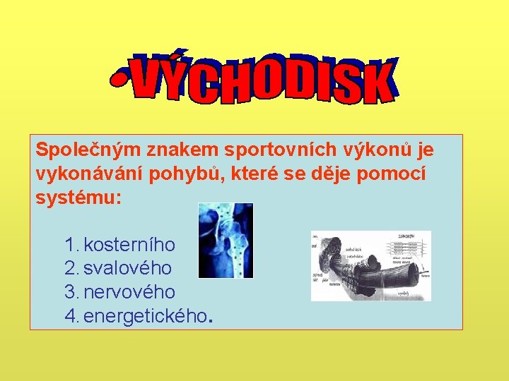 Společným znakem sportovních výkonů je vykonávání pohybů, které se děje pomocí systému: 1. kosterního Společným znakem sportovních výkonů je vykonávání pohybů, které se děje pomocí systému: 1. kosterního