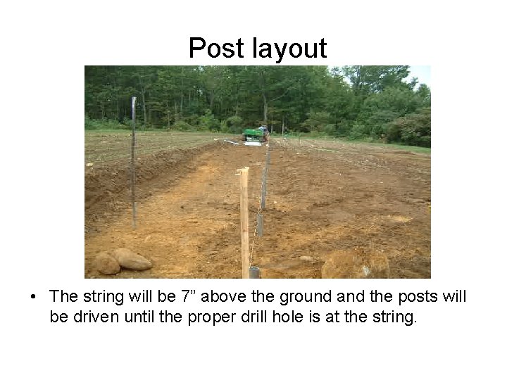 Post layout • The string will be 7” above the ground and the posts