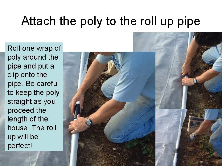Attach the poly to the roll up pipe Roll one wrap of poly around