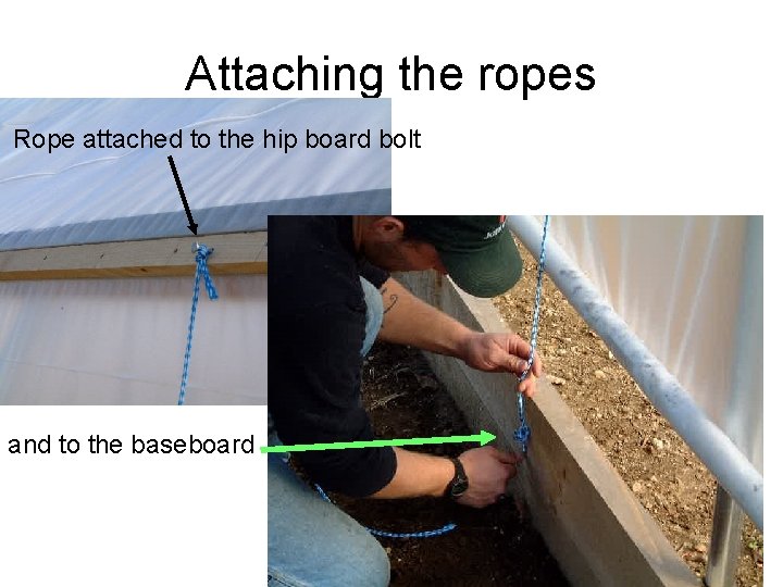 Attaching the ropes Rope attached to the hip board bolt and to the baseboard