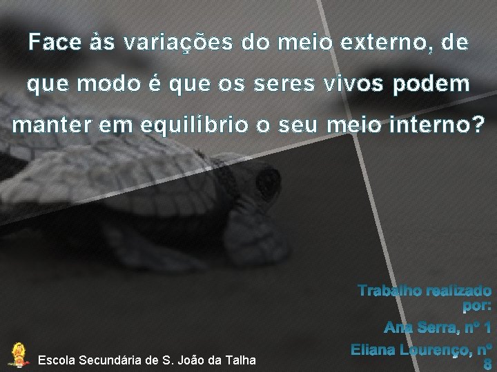 Face às variações do meio externo, de que modo é que os seres vivos Face às variações do meio externo, de que modo é que os seres vivos
