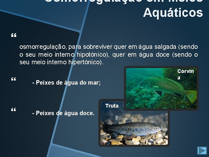 Osmorregulação em Meios Aquáticos osmorregulação, para sobreviver quer em água salgada (sendo o seu Osmorregulação em Meios Aquáticos osmorregulação, para sobreviver quer em água salgada (sendo o seu