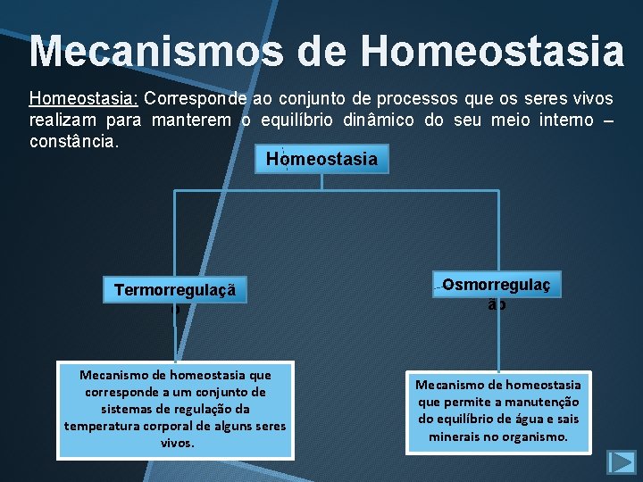 Mecanismos de Homeostasia: Corresponde ao conjunto de processos que os seres vivos realizam para Mecanismos de Homeostasia: Corresponde ao conjunto de processos que os seres vivos realizam para