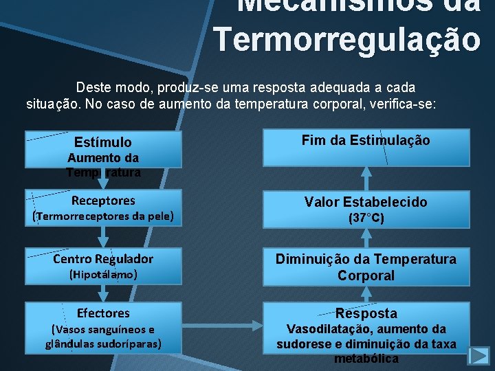 Mecanismos da Termorregulação Deste modo, produz-se uma resposta adequada a cada situação. No caso Mecanismos da Termorregulação Deste modo, produz-se uma resposta adequada a cada situação. No caso