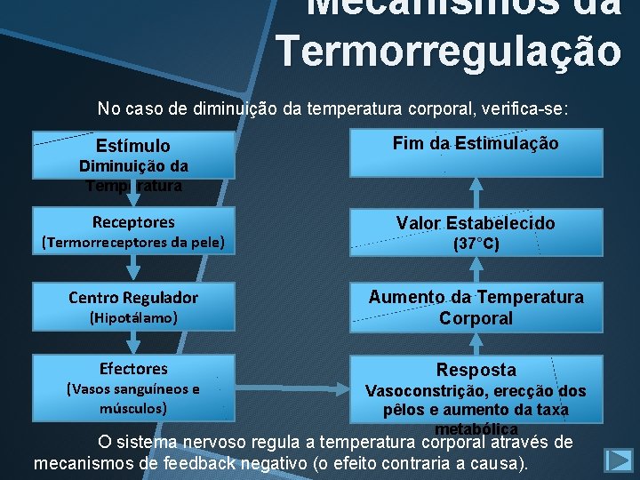 Mecanismos da Termorregulação No caso de diminuição da temperatura corporal, verifica-se: Estímulo Fim da Mecanismos da Termorregulação No caso de diminuição da temperatura corporal, verifica-se: Estímulo Fim da