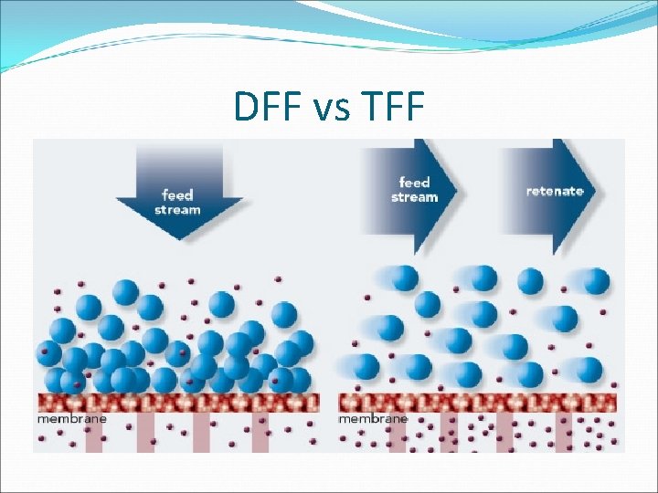 DFF vs TFF 